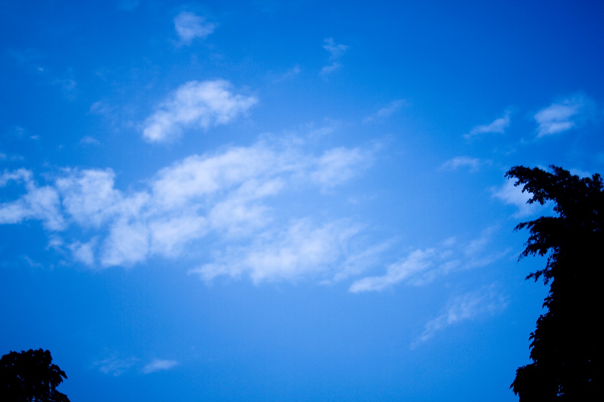 http://i.dcview.tw/gallery/201203/510d2c746616049bf4580d4a134a54e1.jpg