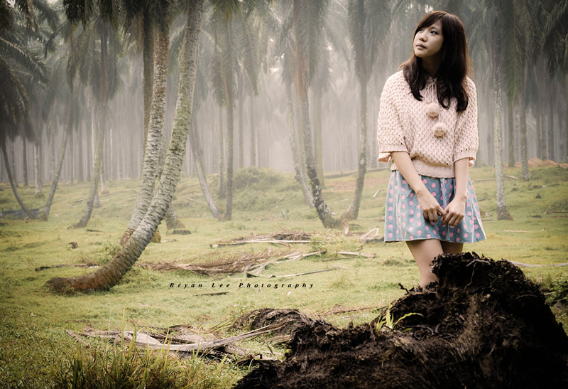 http://i.dcview.tw/gallery/201203/53c3fbb2365e1db53401ab0a03c21c3b.jpg