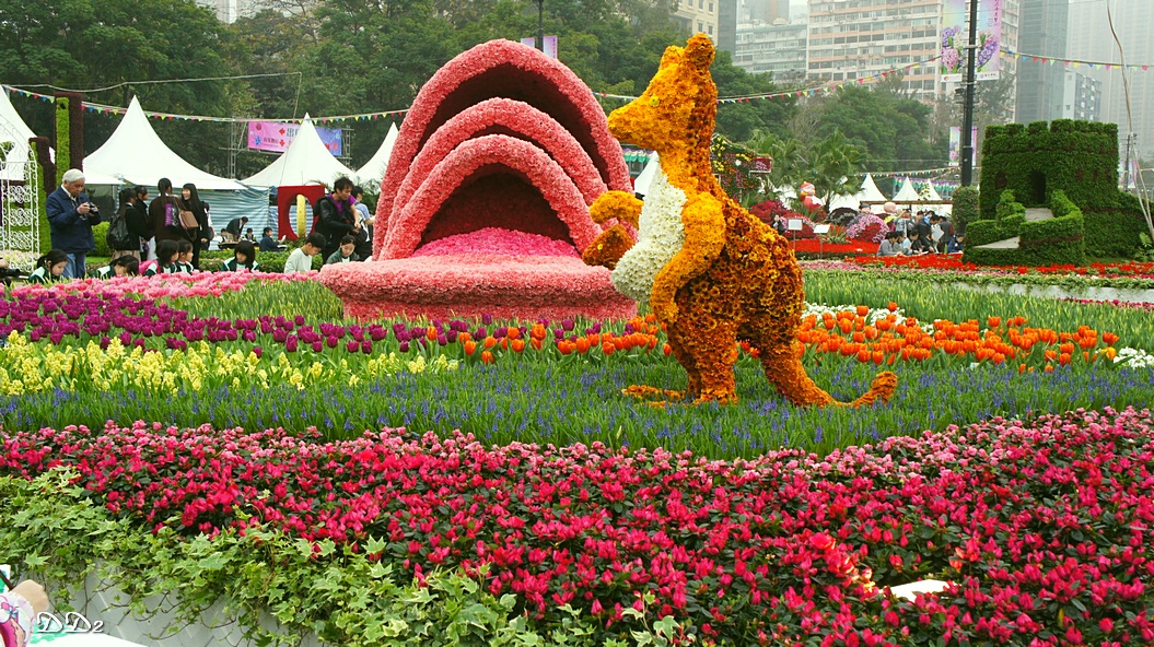 http://i.dcview.tw/gallery/201203/543d2cdbc05cc60129e9a31c63412105.jpg
