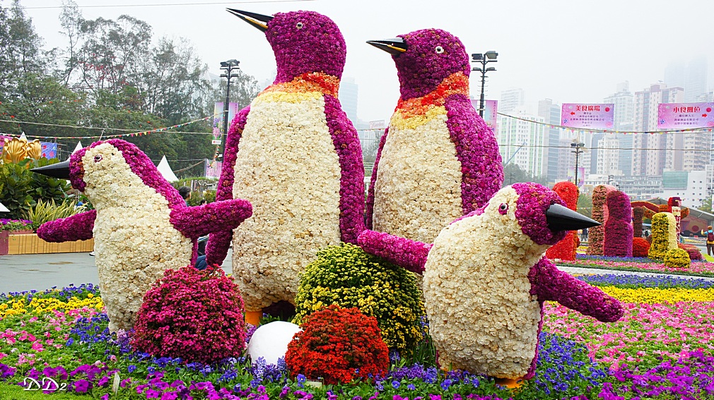 http://i.dcview.tw/gallery/201203/567dae38952bf5d9da19778d18d6f6e2.jpg