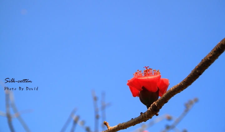 http://i.dcview.tw/gallery/201203/56fee84c3831f28d5d8fd5327baea2a9.jpg