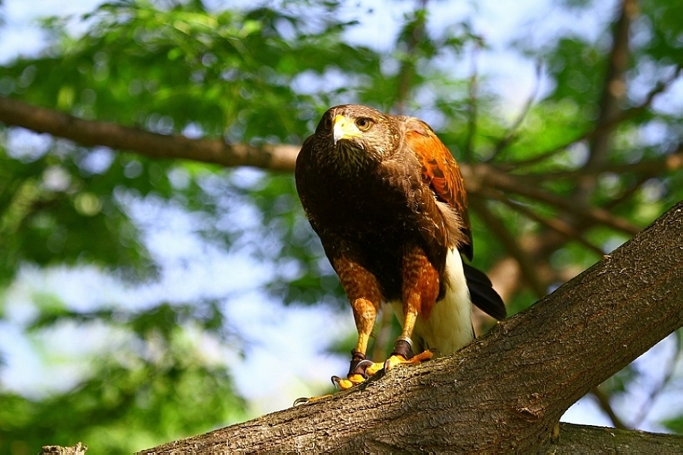 http://i.dcview.tw/gallery/201203/5afab3cc969216d817bd8c96dd57c6bb.jpg