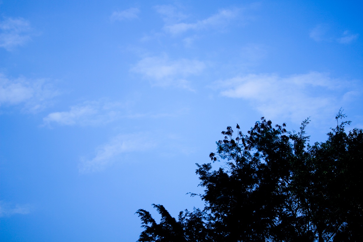 http://i.dcview.tw/gallery/201203/5bce00ee74de407afb74cb239778ca2a.jpg