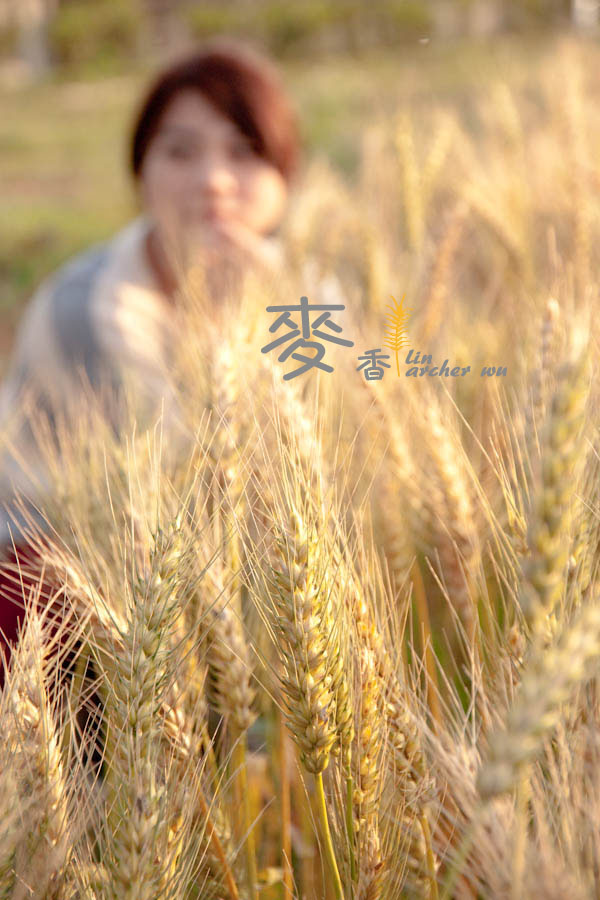 http://i.dcview.tw/gallery/201203/5da7dd8cf9a90492e7477a6f6528a6af.jpg