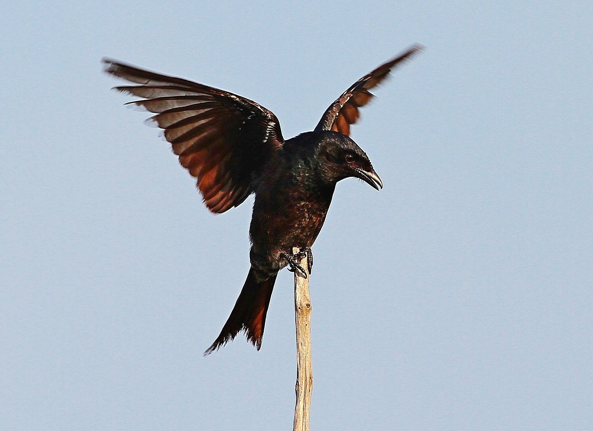 http://i.dcview.tw/gallery/201203/5fe63f4bbd1fd98b6babebf93b016ee1.jpg