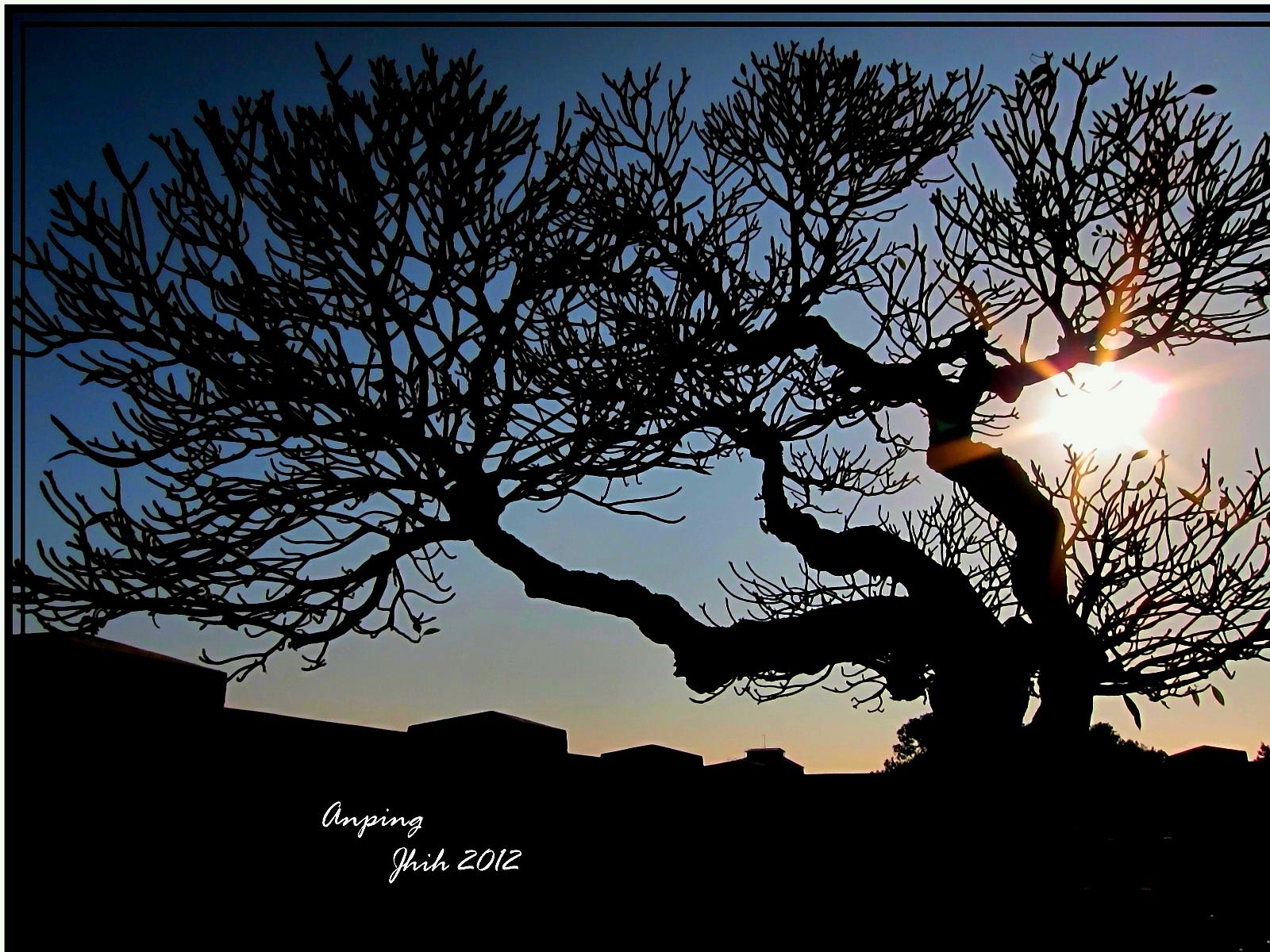 http://i.dcview.tw/gallery/201203/678da3d4b4513e2b393a4217fbc851ad.jpg