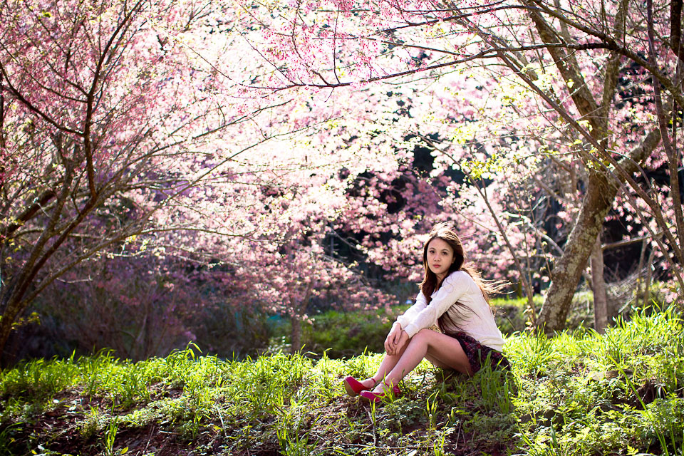 http://i.dcview.tw/gallery/201203/68449fb1d6046fd5de962c12fe1b067a.jpg