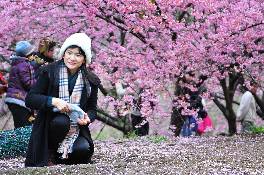 http://i.dcview.tw/gallery/201203/6abc85f98fac1bcb83b50ee21bacdffa.jpg