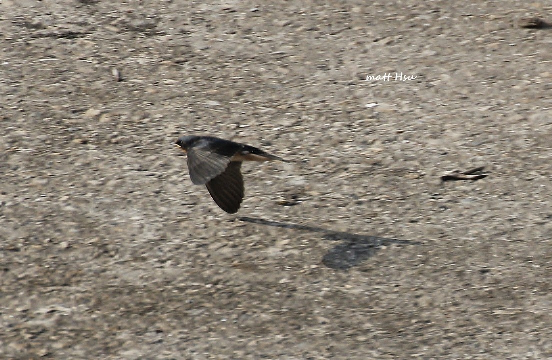 http://i.dcview.tw/gallery/201203/6b8fe0254dfad13bd69738e6839f1459.jpg