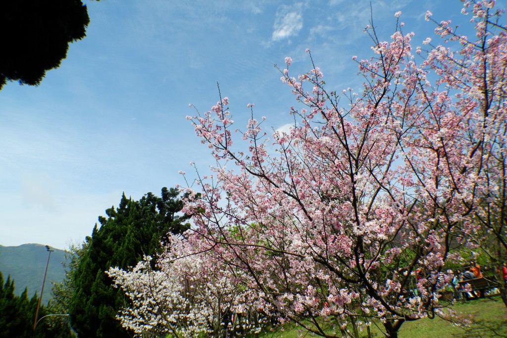 http://i.dcview.tw/gallery/201203/738787d9952d2ad17b5a46252d0c0e6a.jpg