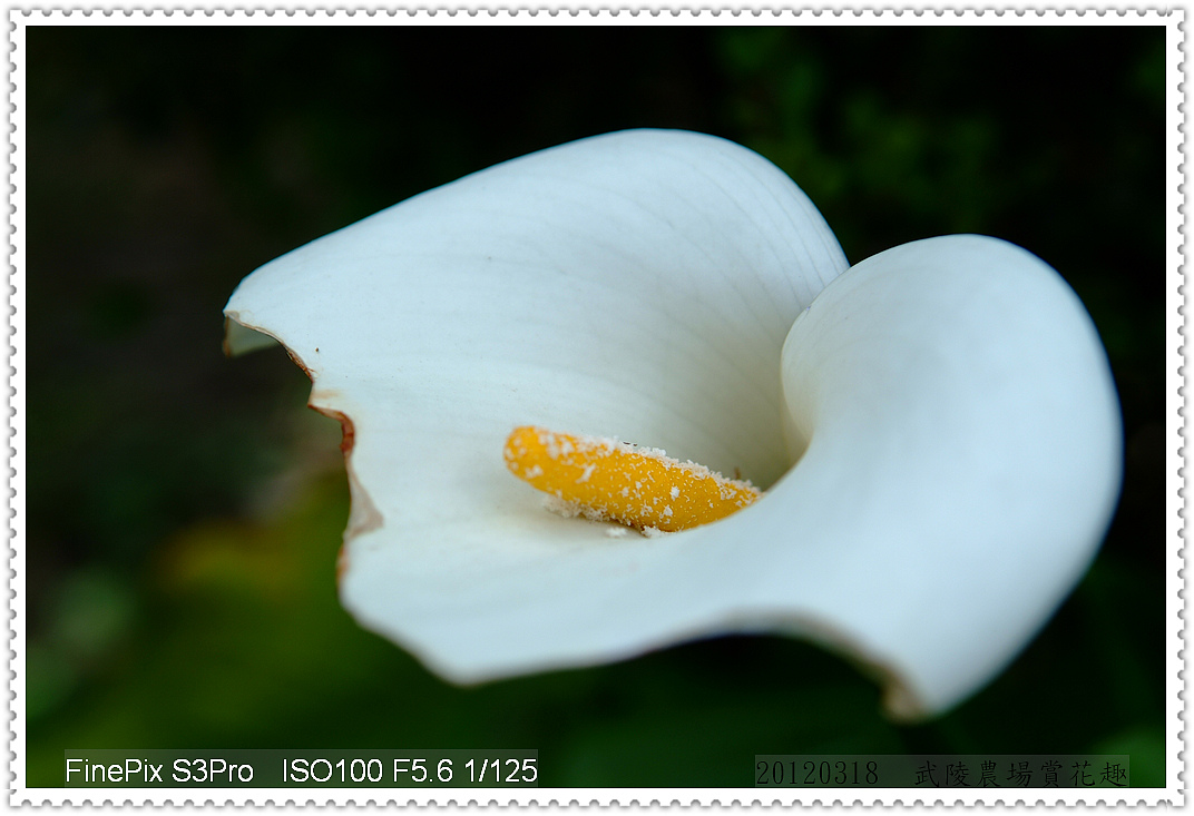http://i.dcview.tw/gallery/201203/7519ce7fd13477be2f9f26b02fb62a09.jpg