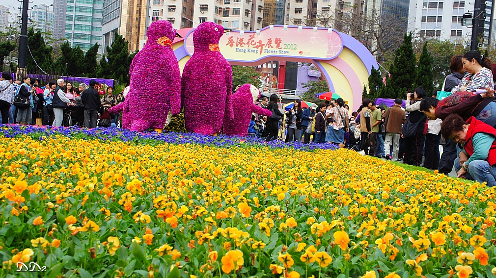 http://i.dcview.tw/gallery/201203/762c2eae51532eba50a60b18d672be52.jpg