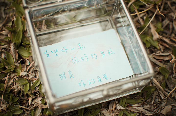 http://i.dcview.tw/gallery/201203/7636dddf0254015a0ad000626dfd80a9.jpg