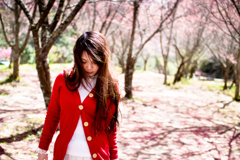 http://i.dcview.tw/gallery/201203/763762d35e9d5417347df8b9ee0b4418.jpg