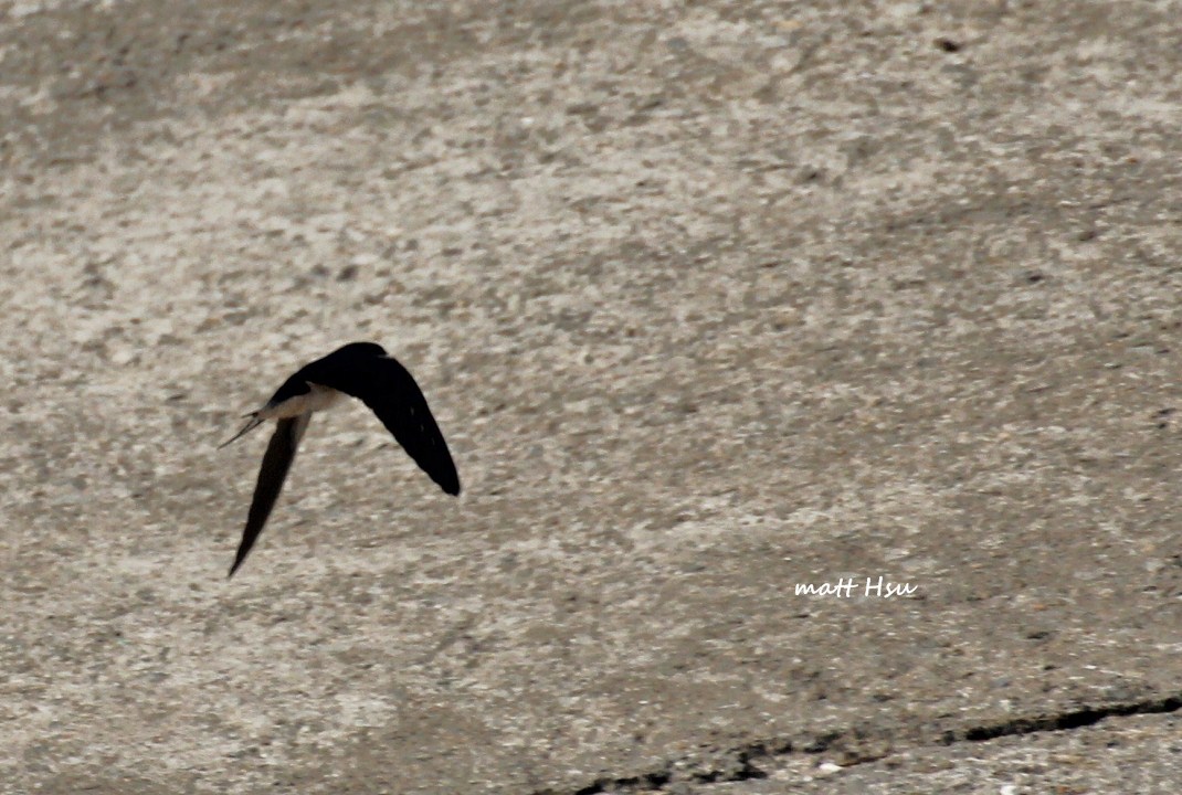 http://i.dcview.tw/gallery/201203/799bf5e33c926d8c040fd83fa6218c9a.jpg