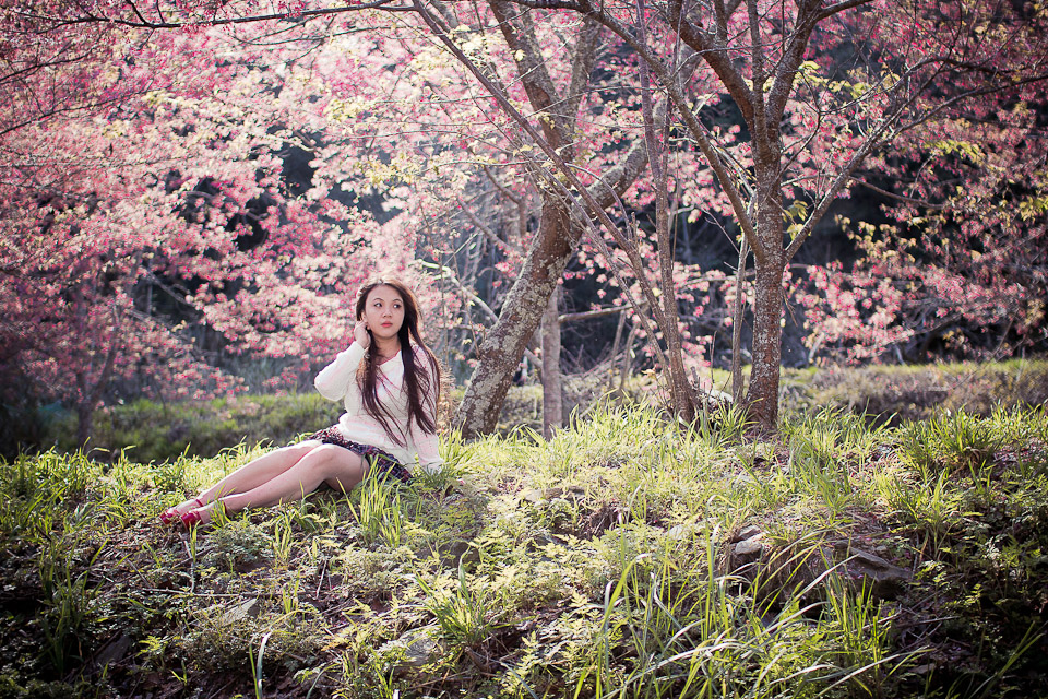 http://i.dcview.tw/gallery/201203/7a1b1e3a172a00e89369648120420daf.jpg