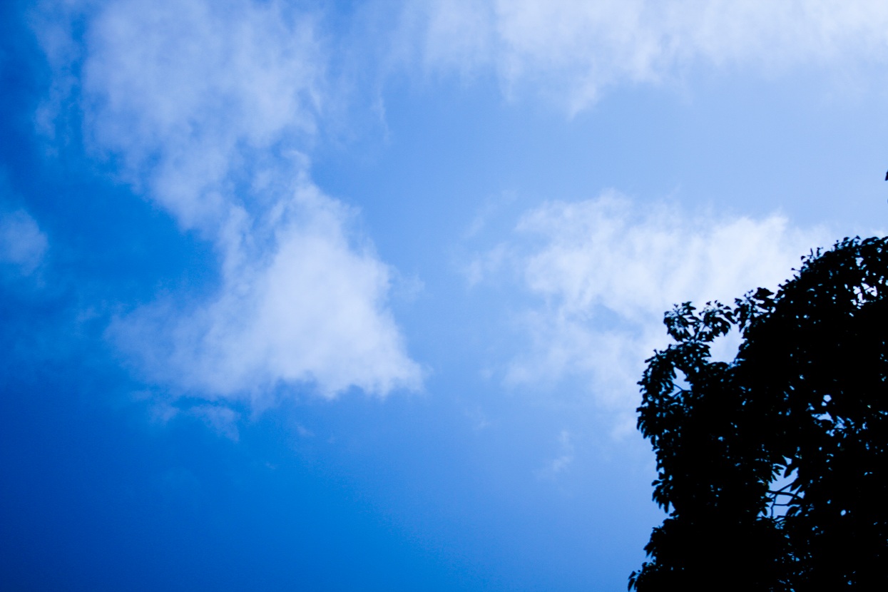 http://i.dcview.tw/gallery/201203/7dda481074e5d6a3c413402b7df738bb.jpg