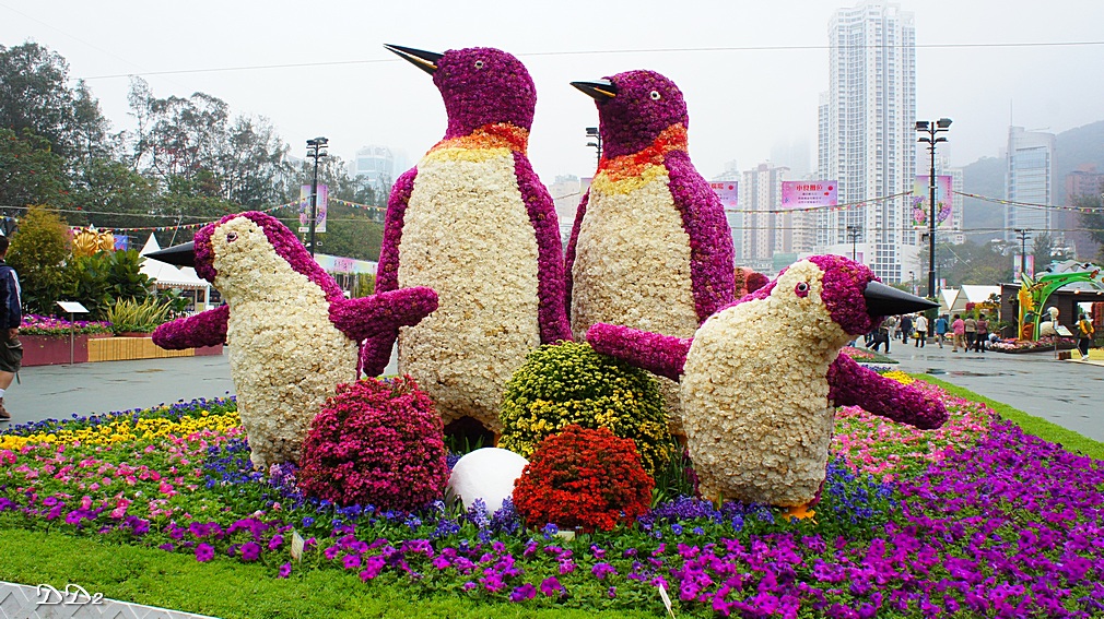http://i.dcview.tw/gallery/201203/7e324cd8c6d11df9a292450e3be32f4f.jpg