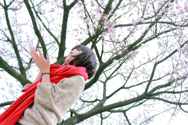 http://i.dcview.tw/gallery/201203/7e9652649457f8fbf0986de15bc6fa7b.jpg