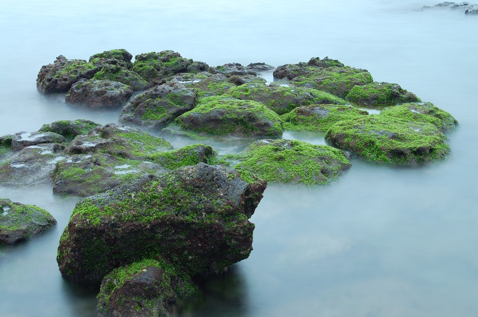 http://i.dcview.tw/gallery/201203/7f026eeb0129e4cbc8755abcd90f0486.jpg