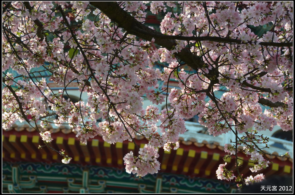 http://i.dcview.tw/gallery/201203/81827cf9e3252024db70fdab6e1bf51f.jpg