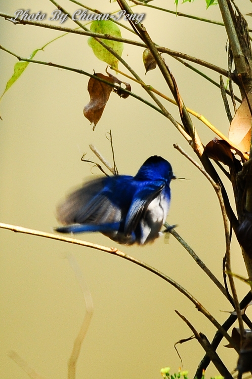 http://i.dcview.tw/gallery/201203/82aef132913a02980c06a5594c989aa0.jpg