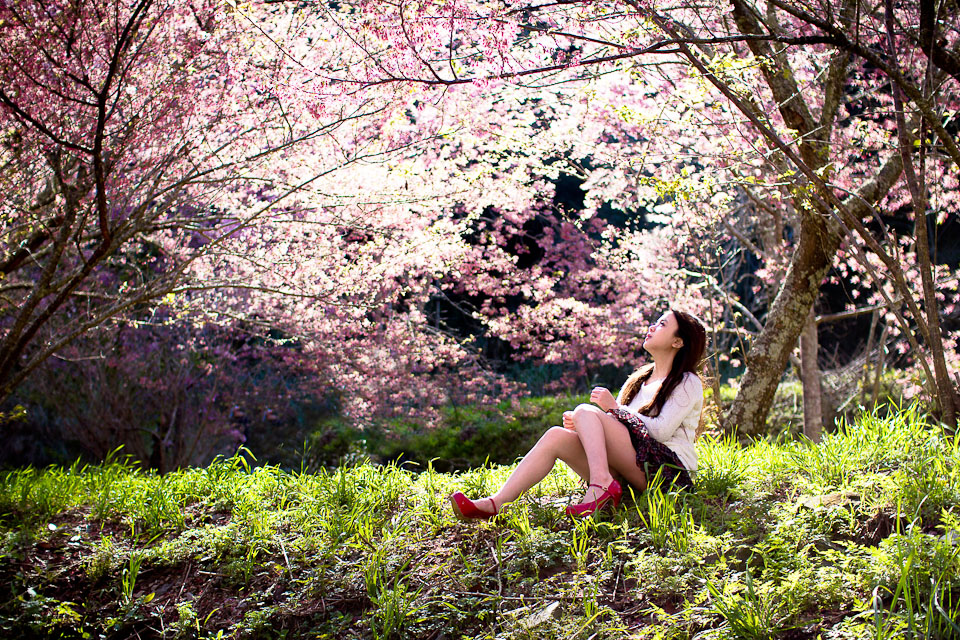 http://i.dcview.tw/gallery/201203/849efef90127589c21097e1ae0eb2742.jpg