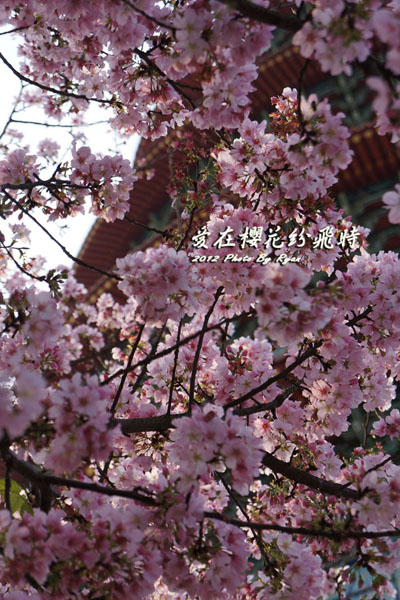 http://i.dcview.tw/gallery/201203/86eda9b2c9ebe65a9442d91f8095eb65.jpg