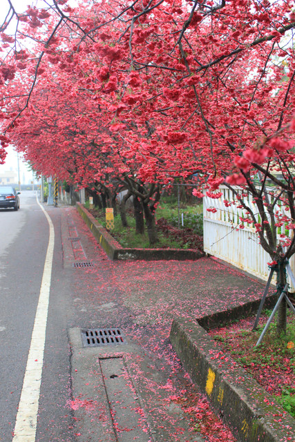 http://i.dcview.tw/gallery/201203/8af944f894284e87d0facd25cdfc4ef5.jpg
