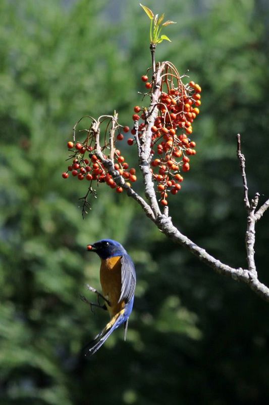 http://i.dcview.tw/gallery/201203/8bc68532923a384b0c4df2fa1d127dc9.jpg