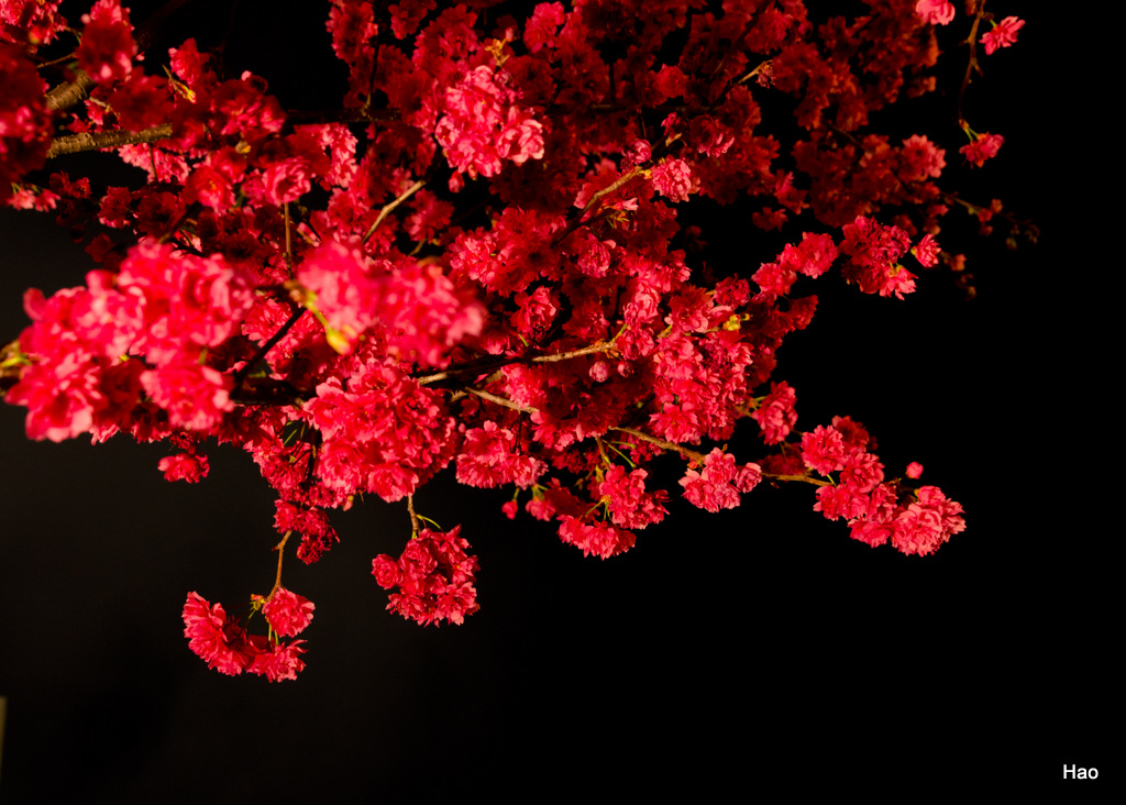 http://i.dcview.tw/gallery/201203/8ddf619842a9fc831c4e915e51f03d2d.jpg
