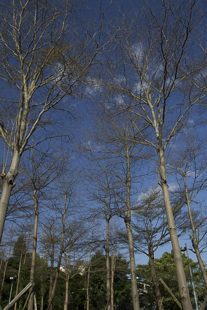 http://i.dcview.tw/gallery/201203/8fd14660eab3fa8e1b740f5d539b544d.jpg