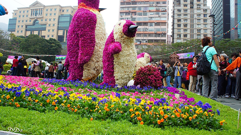 http://i.dcview.tw/gallery/201203/93a0ecb89622dc092792d38e2edbbaa8.jpg