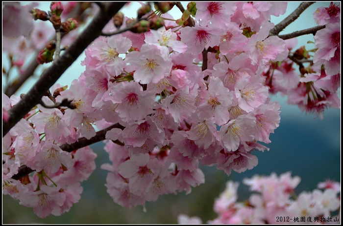 http://i.dcview.tw/gallery/201203/94ac82ad7786fa5e4c52985bfcbbe080.jpg