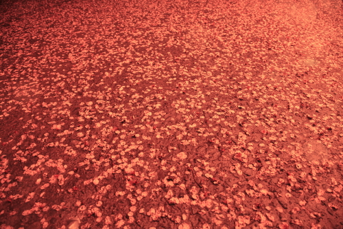 http://i.dcview.tw/gallery/201203/94d963ee1931eb52e3f1ba427e88d6e7.jpg
