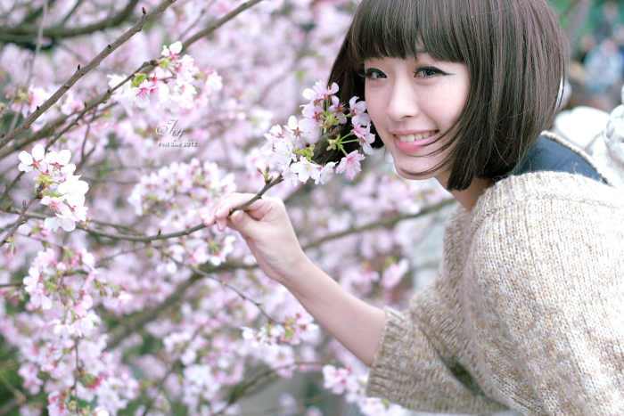 http://i.dcview.tw/gallery/201203/94f33645863162e654bd26b9389b56cd.jpg