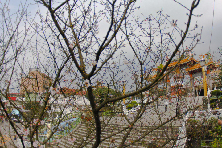 http://i.dcview.tw/gallery/201203/94fdf7fad0936ffc8832a3d44620c39f.jpg