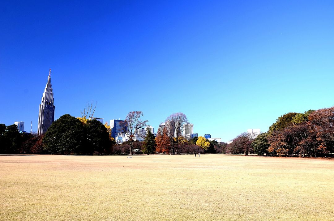 http://i.dcview.tw/gallery/201203/979df6b99a54631ef2f1455d865d6b8c.jpg