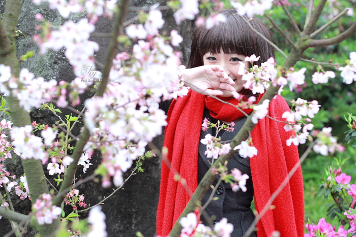 http://i.dcview.tw/gallery/201203/984eba0491aaba9eb2f7a896c4b2f09b.jpg
