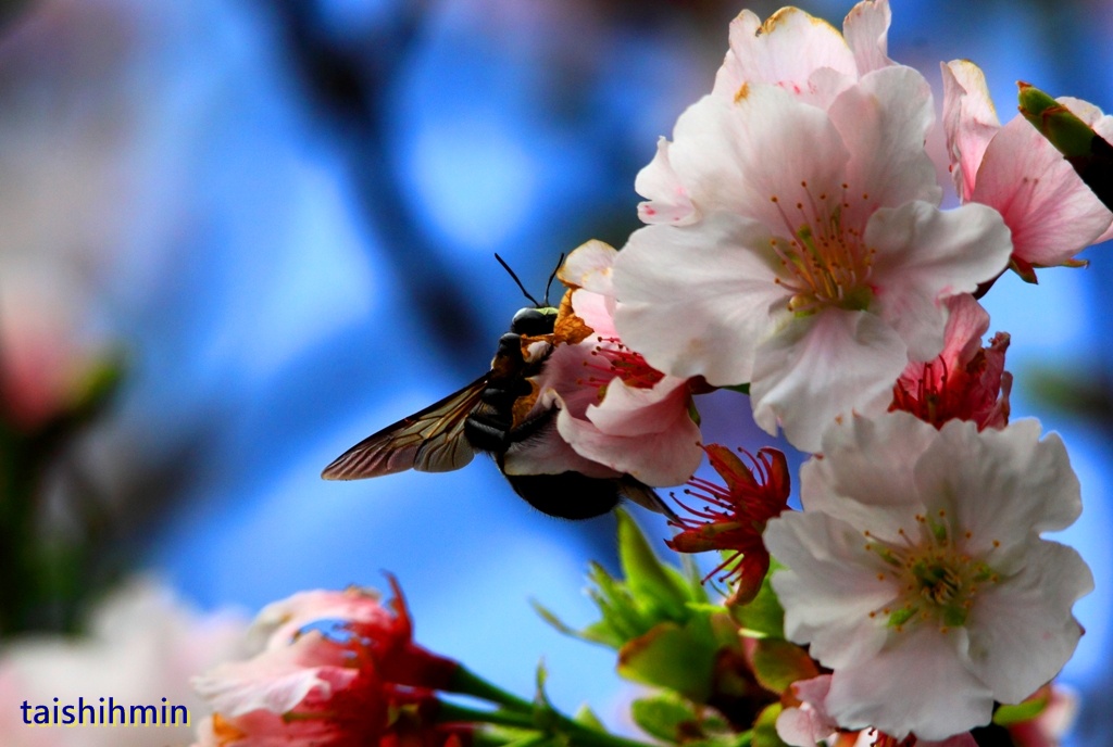 http://i.dcview.tw/gallery/201203/9952602a182b05d96b9dcc6b00e899c7.jpg