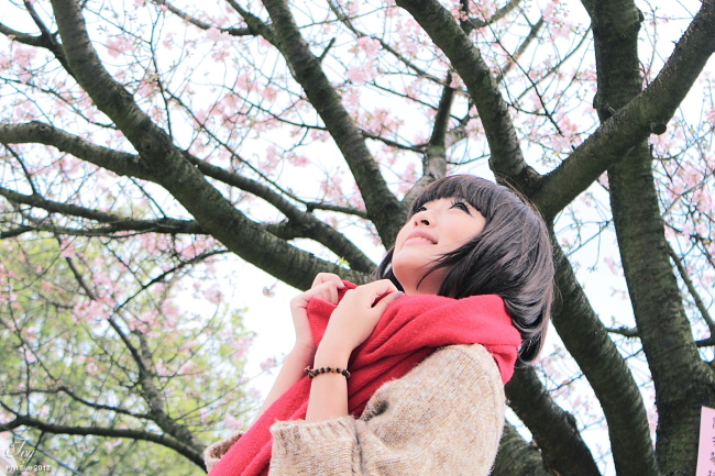 http://i.dcview.tw/gallery/201203/9ba9a74488cdfb37c7fc5d2b6b8f7b81.jpg