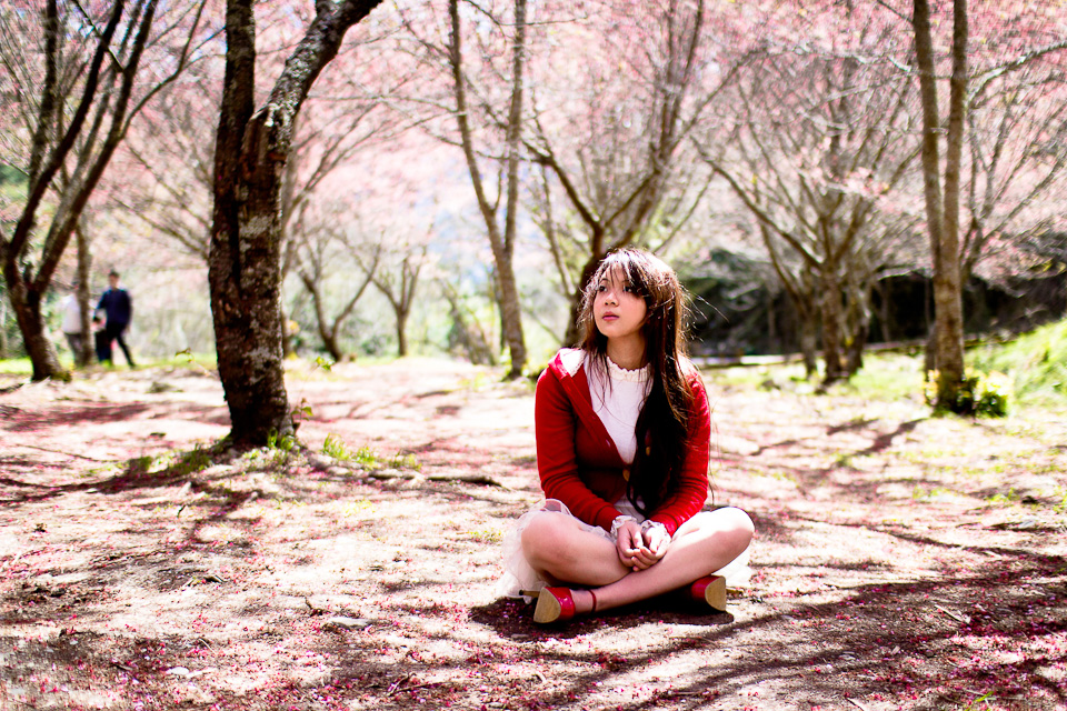 http://i.dcview.tw/gallery/201203/9c024eaa01b4d471008a0fd0703ff699.jpg