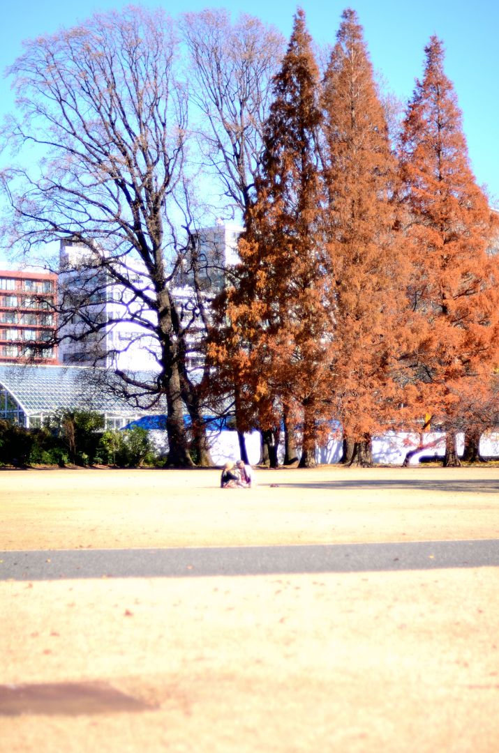 http://i.dcview.tw/gallery/201203/9e29b52dff1a4eb93338e599c77bdc62.jpg