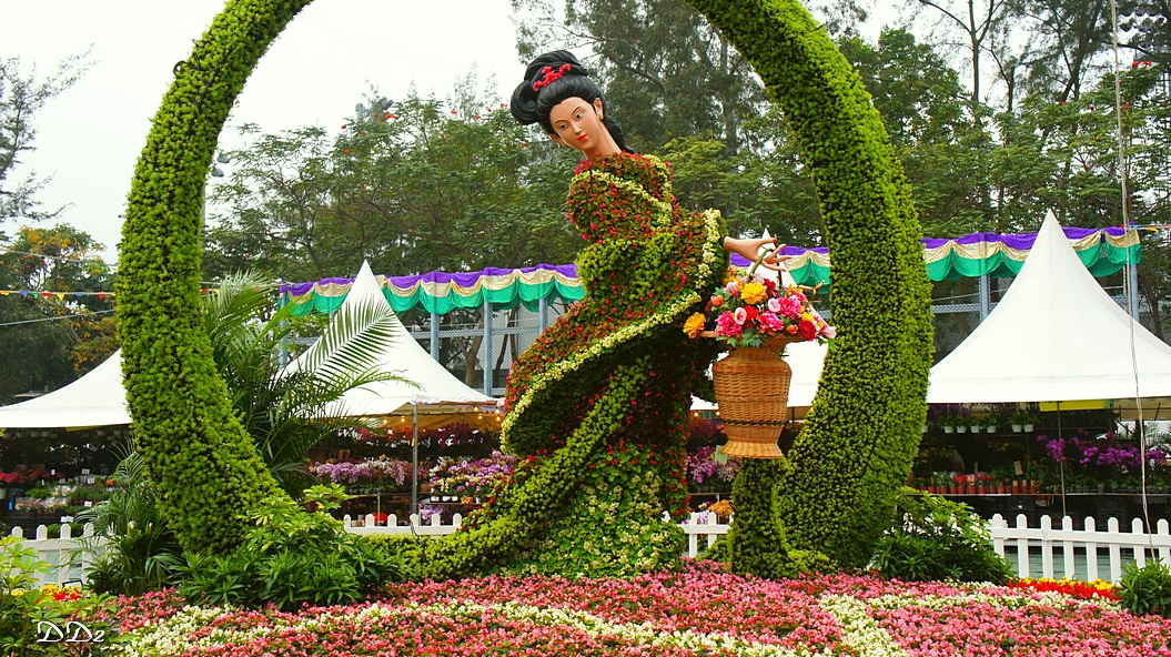 http://i.dcview.tw/gallery/201203/a29d1c408d20fb63e58e5e4476c9eda8.jpg