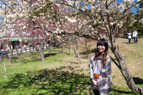 http://i.dcview.tw/gallery/201203/a4f599937fe19b501f794da76efc07f6.jpg