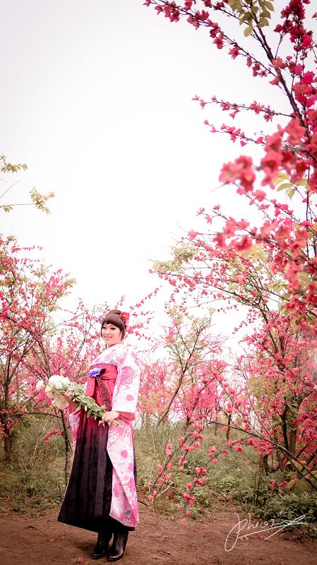 http://i.dcview.tw/gallery/201203/a7c084b61bd5c192a40ec64d99bac712.jpg