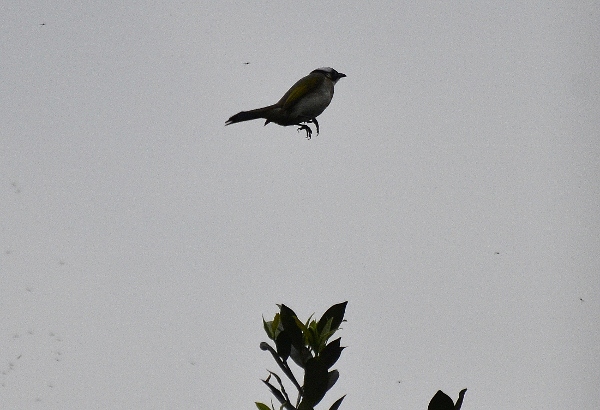http://i.dcview.tw/gallery/201203/a8c854d301b0765f7c1510edaa1e8eda.jpg
