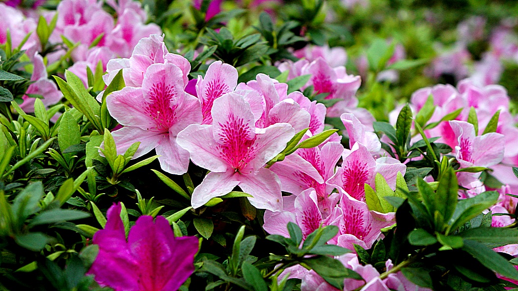 http://i.dcview.tw/gallery/201203/aba951abeeaebf10a338b55db79691a1.jpg