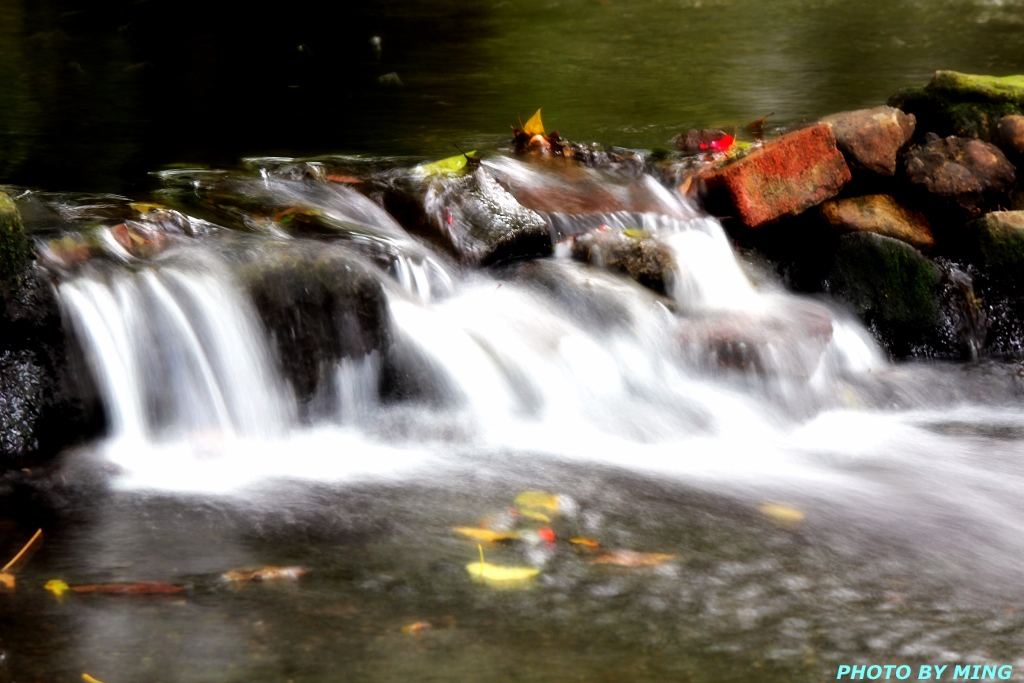http://i.dcview.tw/gallery/201203/ac64f55ed41d0c30d3416058bb36a024.jpg