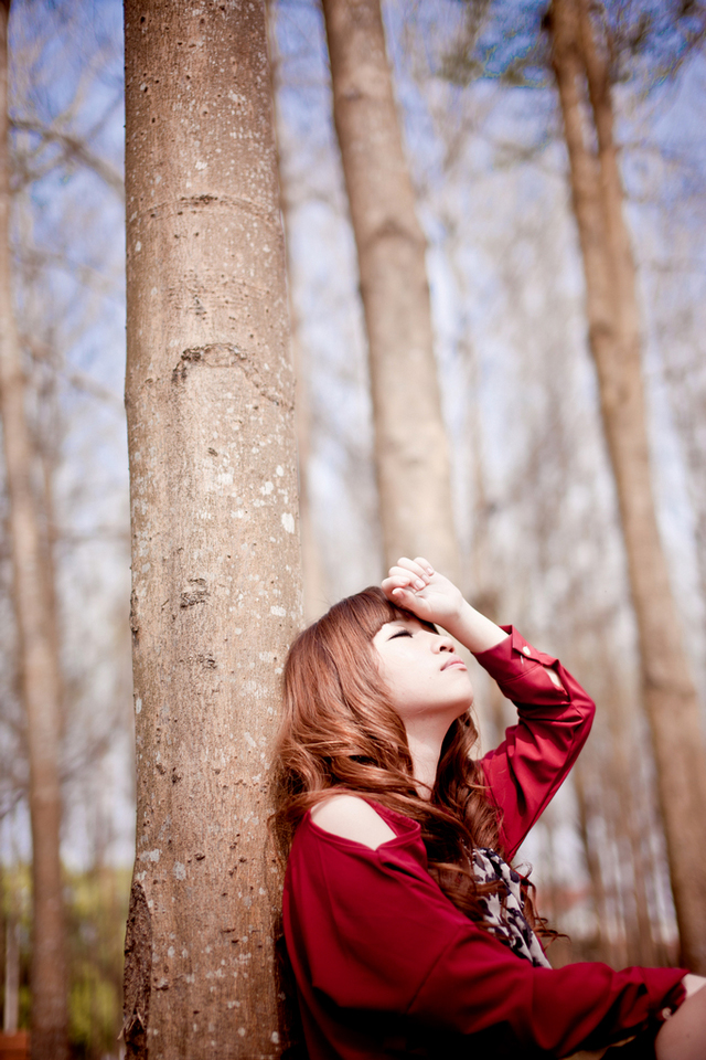http://i.dcview.tw/gallery/201203/ace2d0b9f01eec6458a61da8ca88e433.jpg